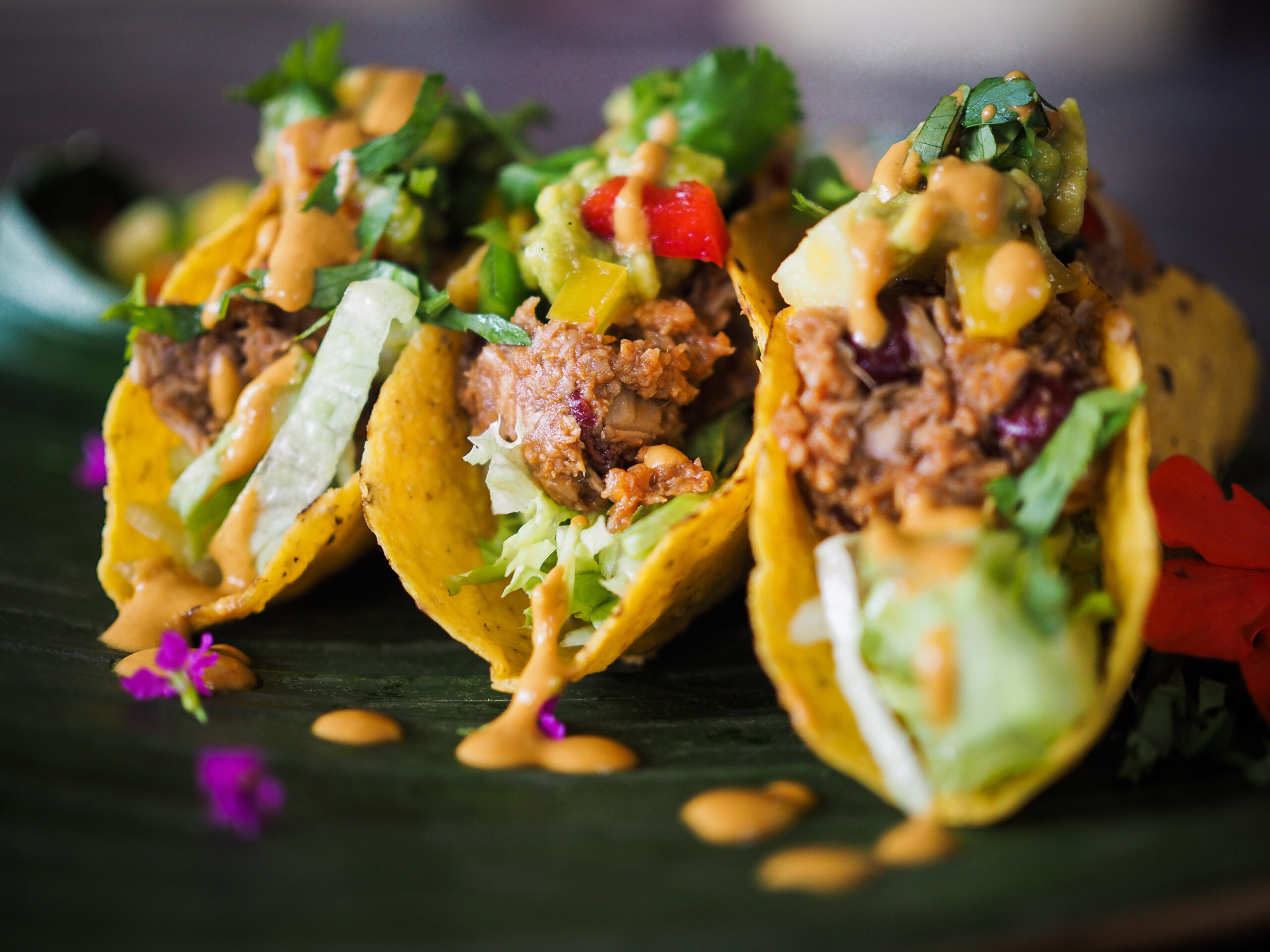 3 healthy vegan jackfruit tacos